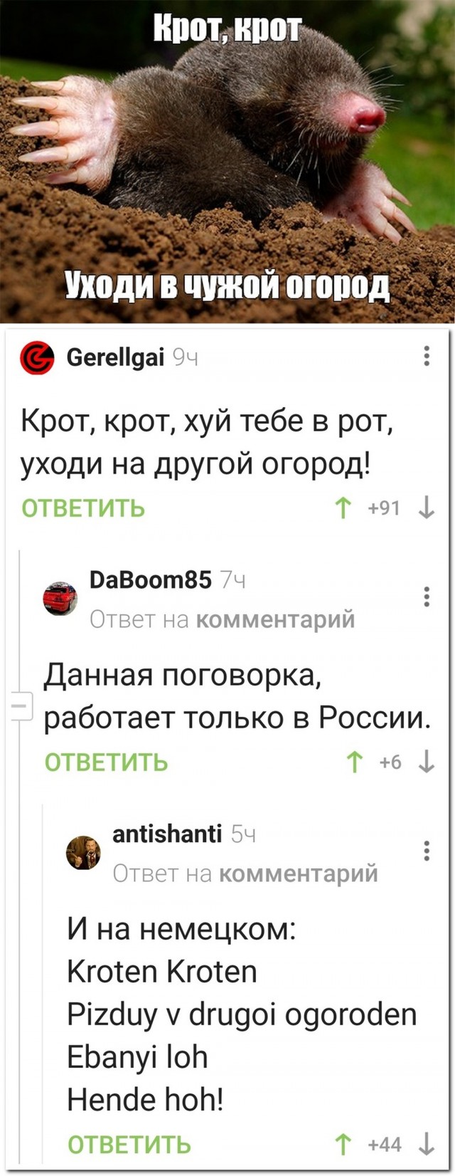 Так себе картинки 19.11.22