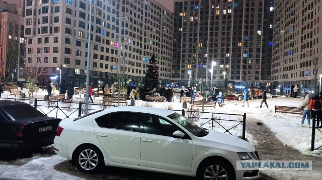 Почему женщины одним "дают" сразу, а других матросят месяцами