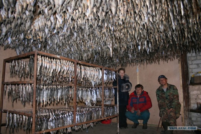 Вот такой вот улов
