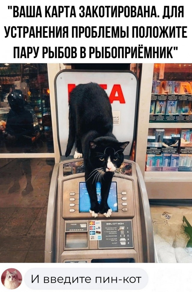 Картинки весёлые, вроде