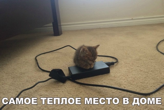Картинки и мемы, всяко разно - 181