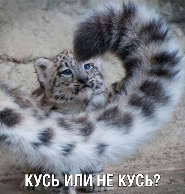 Немного картинок и прочей хреноты Vol. 23