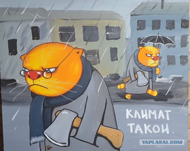 Камушек в лобовое