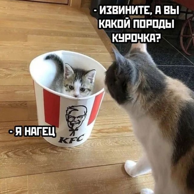 Картинки с надписями 09.07.23