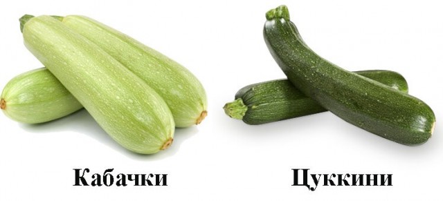 Самый одинокий парень