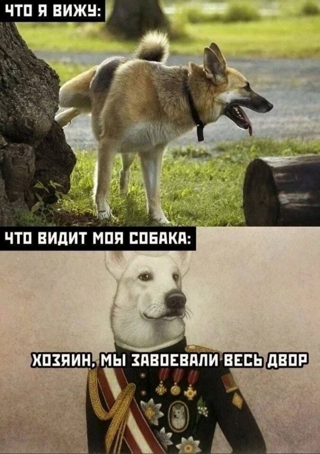 Отряд быстрого деградирования