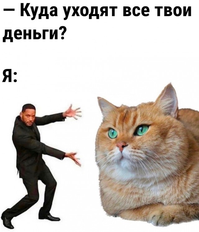 Так себе картинки 23.09.23