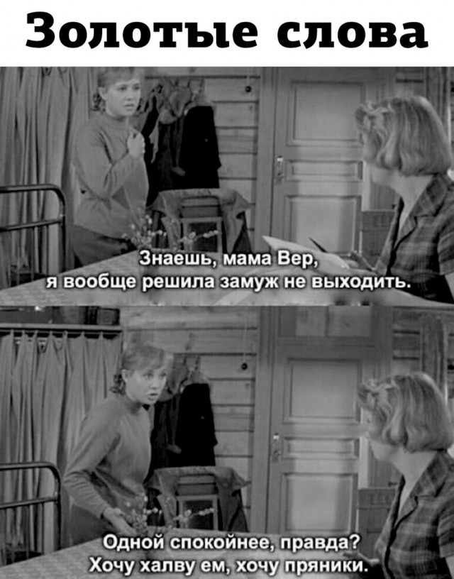 Так себе картинки 24.10.23
