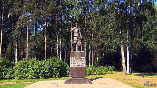 История собаки, спасшей в блокаду 16 человек.