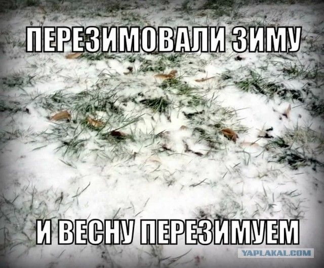 Питер сегодня