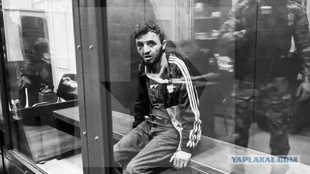 8-летнего Илью, которого переехали террористы возле "Крокуса", выписали из больницы