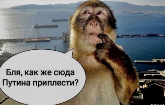 Уникальная реставрация барельефа на фасаде колледжа искусств в Ельце. Был классицизм, стал примитивизм