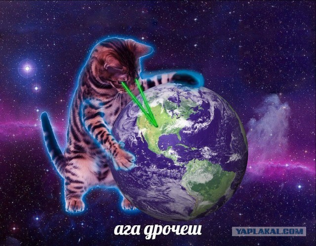 Весёлый полтишок 13.08.24
