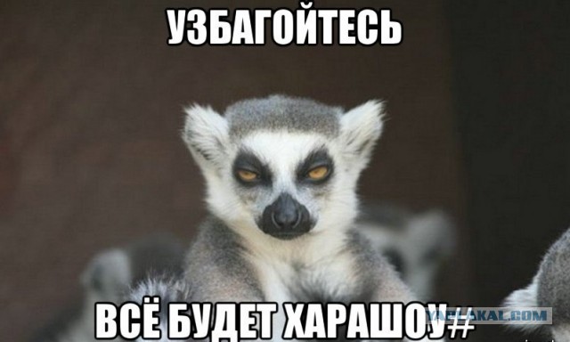 Вот похоже и всё...