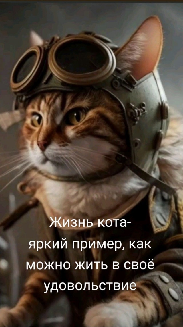Прикольные и просто красивые картинки 13.09.2024