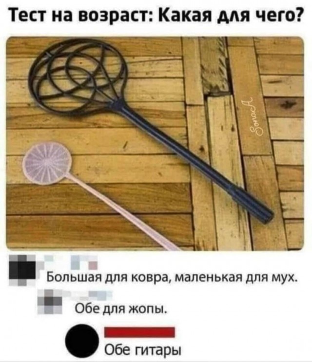 19488946.jpg