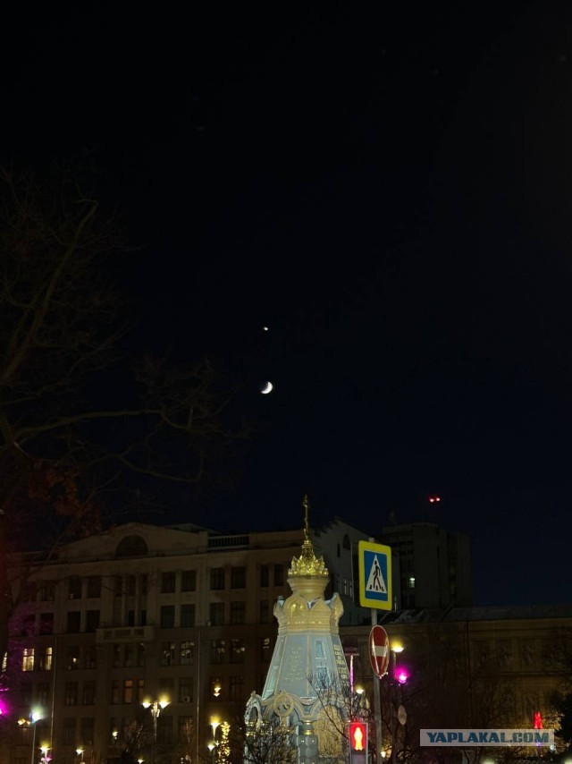Венера в самом соку