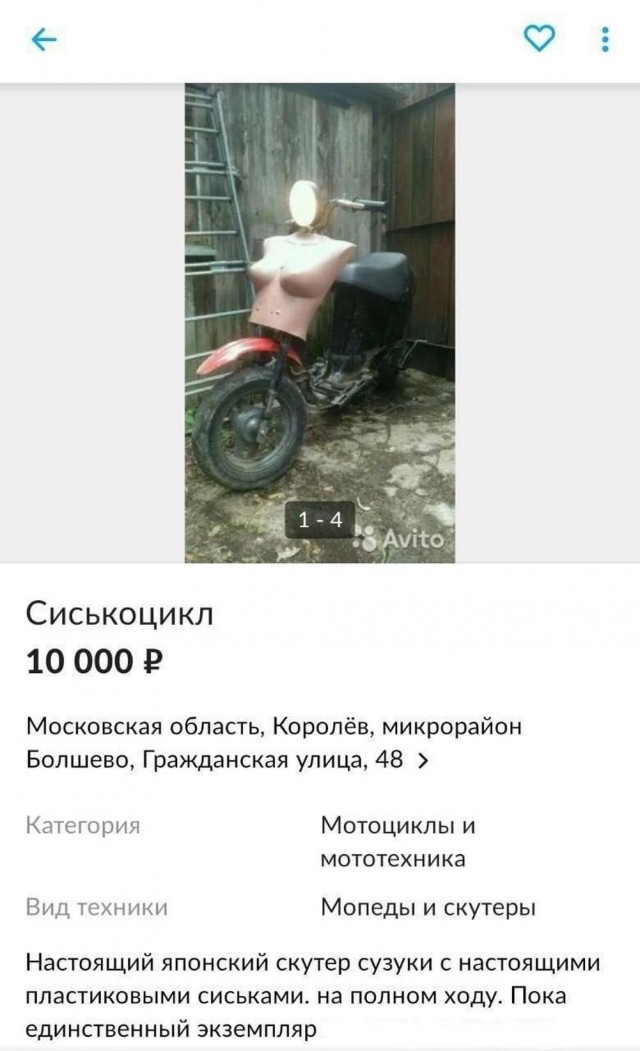 Нуштош 07.01.2025. Межпраздничный спецвыпуск