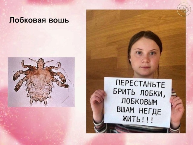 Баллада о мандавошках