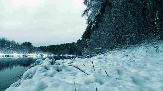 Фото с телефона
