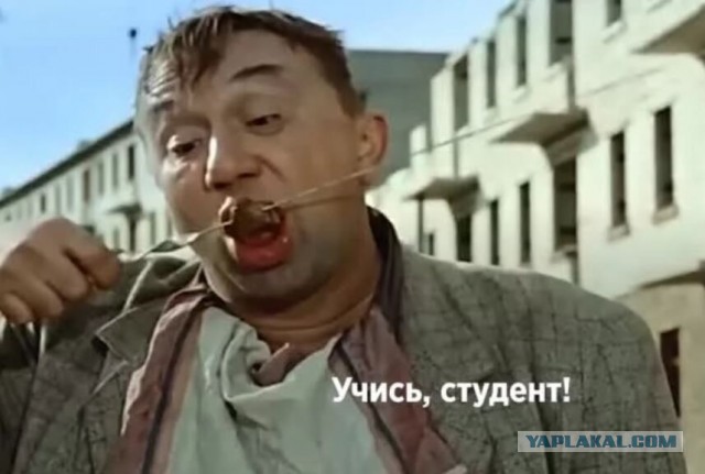 С Днем студента!