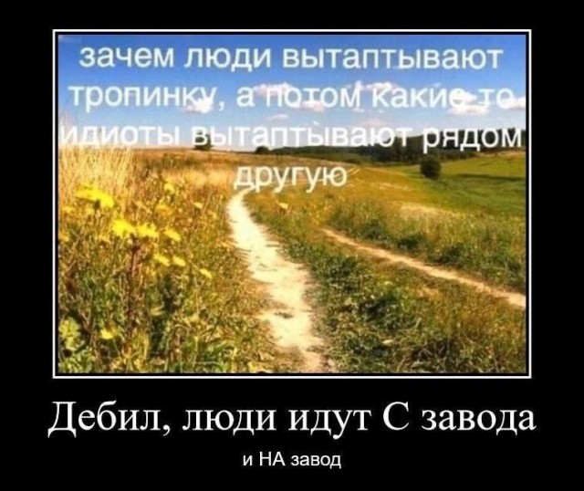 Картинки своеобразного юмора