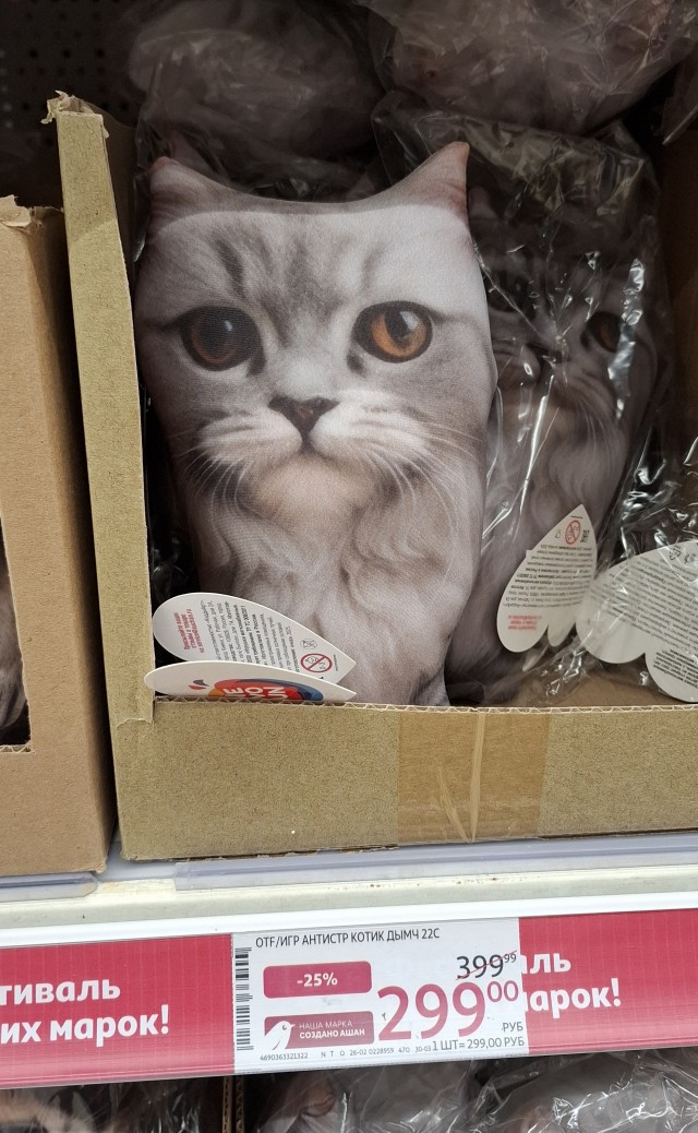 Нефотогеничный кот