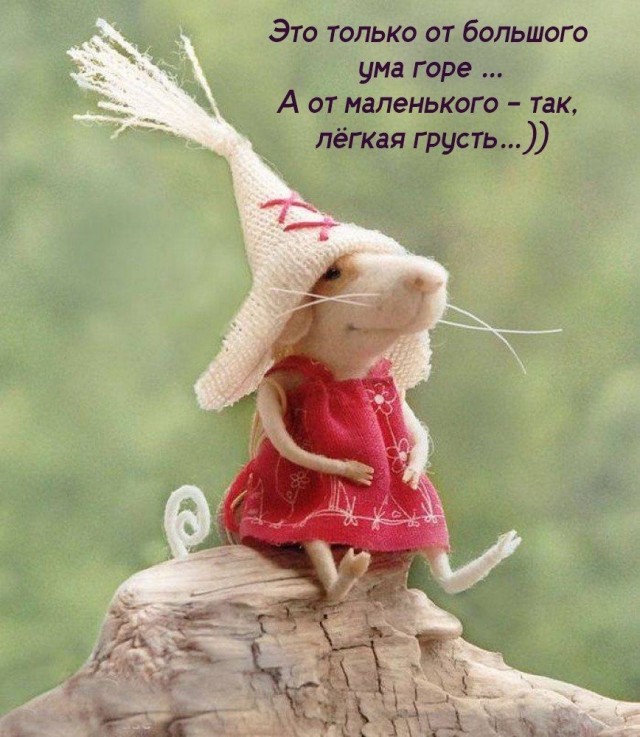 Прикольные и просто красивые картинки 16.05.2025