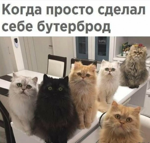 Так себе картинки 19.05.25