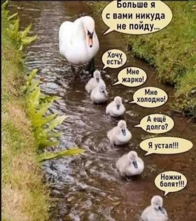 Интернет-мемчики на четверг и увлажнитель воздуха