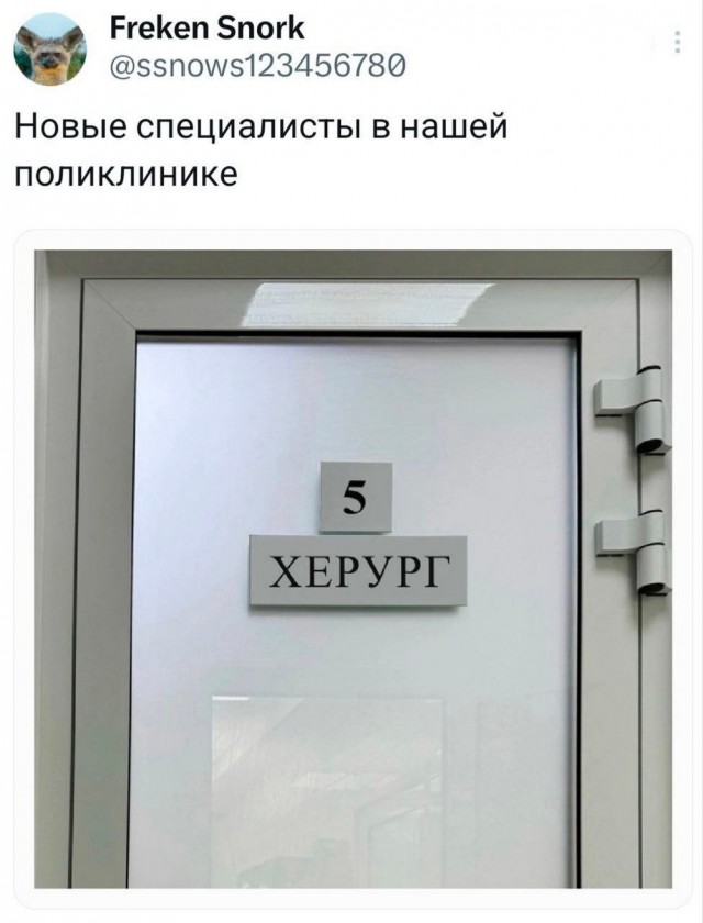 Веселые картинки в маленькую пятницу (11.06)