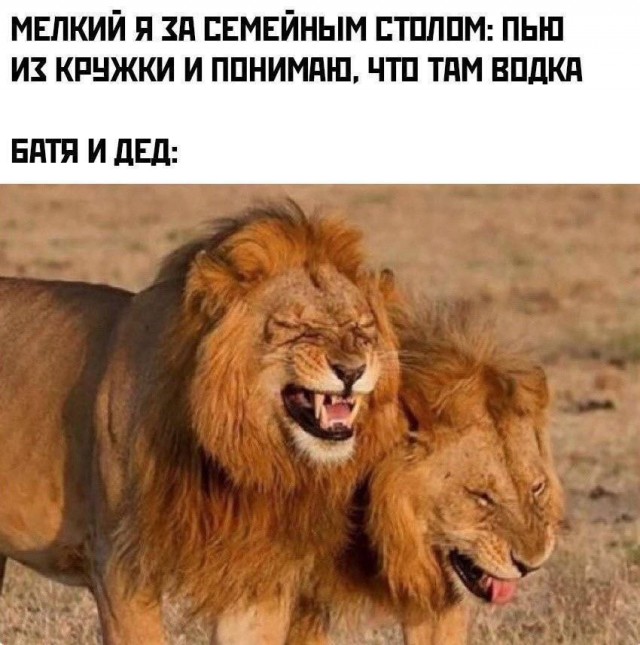 ТРРРидцать тРРРи от 29 августа