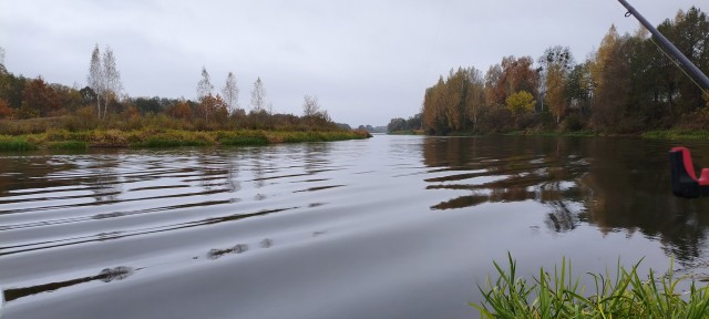 Рыбалка на реке Березина. Беларусь