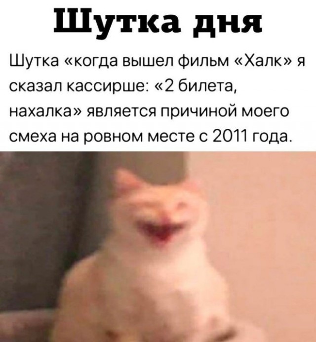 Картиночки, баянчики  06 декабря