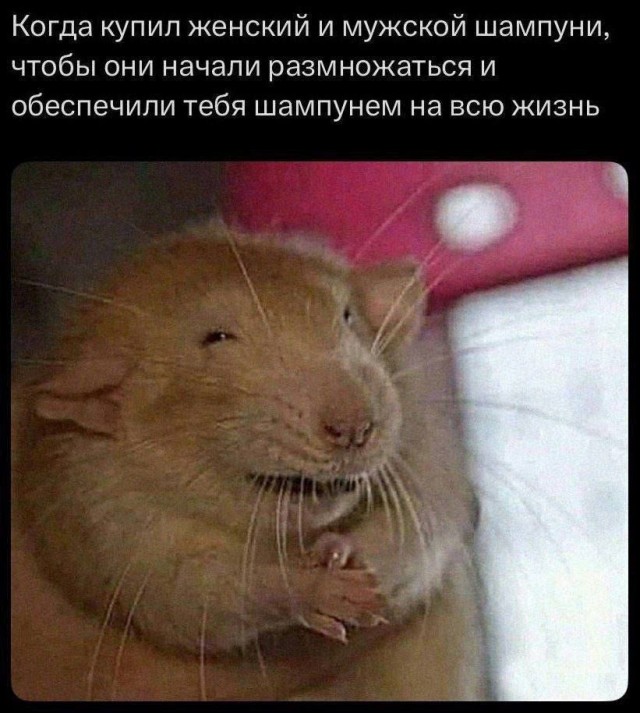 Так себе картинки 29.12.25