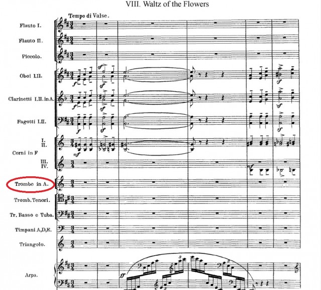 Трубач из российского оркестра показал, как выглядит его партия в одном из вальсов Чайковского.