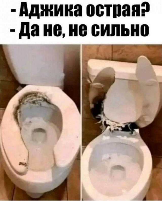 Веселые картинки в пятницу (16.01)