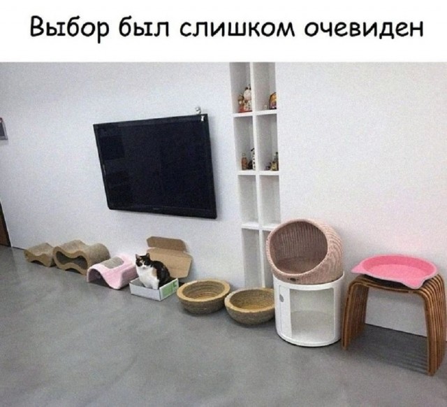 Так себе картинки 21.01.26