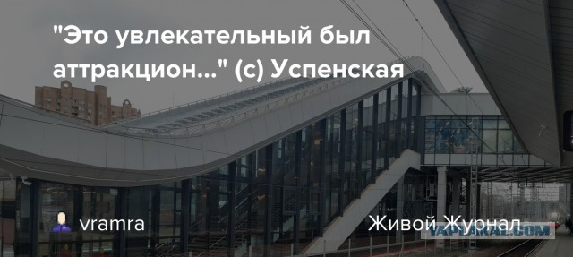 Кота вместе с бельём случайно постирала в машинке москвичка — питомец едва не задохнулся