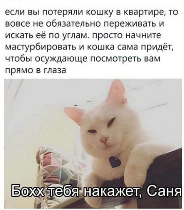 Котямбосы