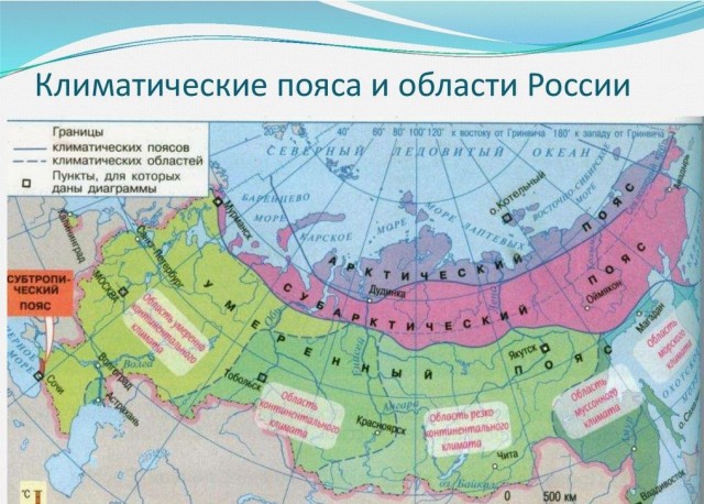 В Китае все продукты стоят в 2–3 раза дешевле, чем в России
