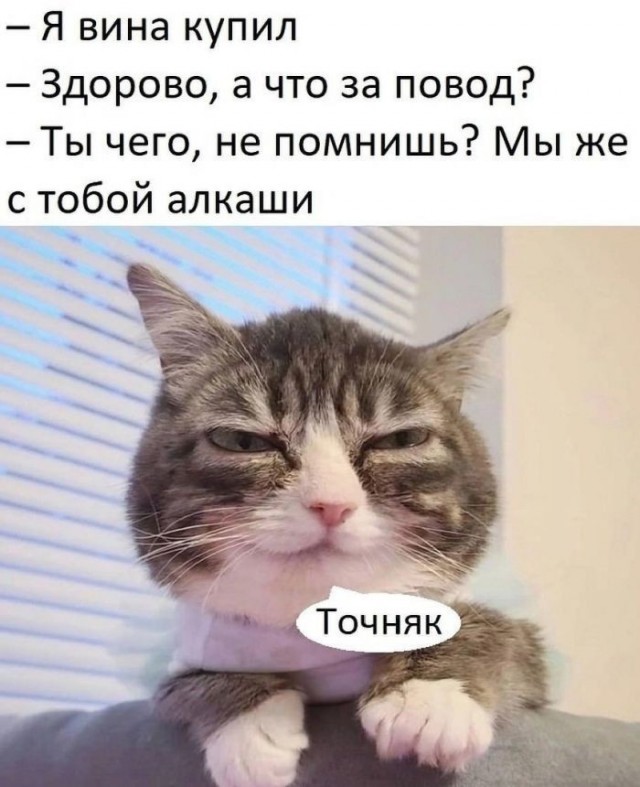 Так себе картинки 19.06.26