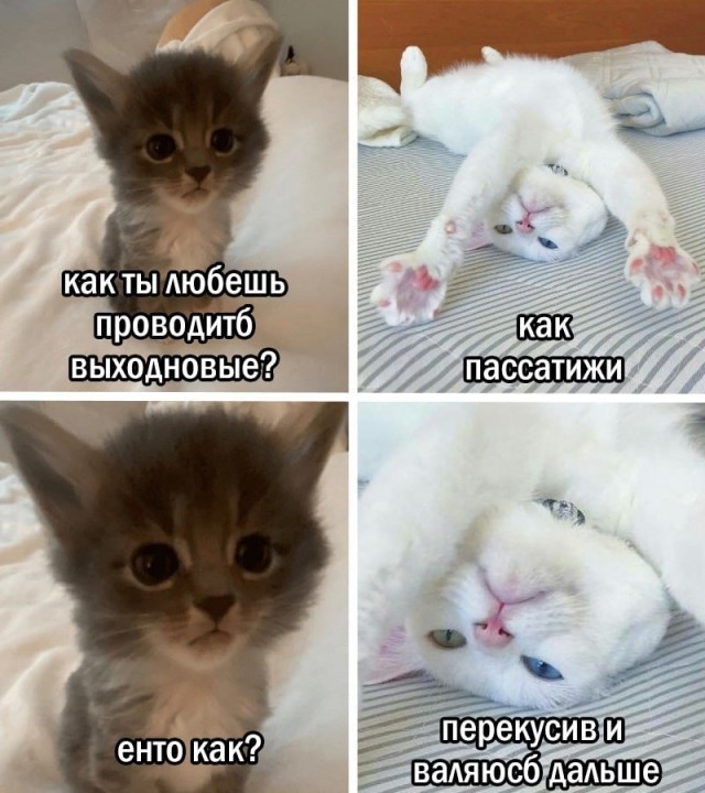 Картиночки, баянчики 27 июня
