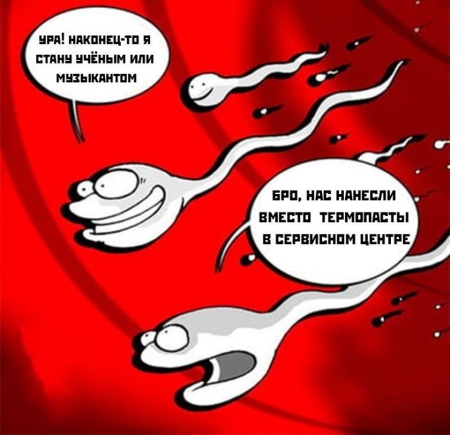 Картинки для деградации 249 (разной степени свежести)