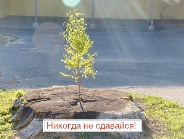 Так себе картинки 14.08.26