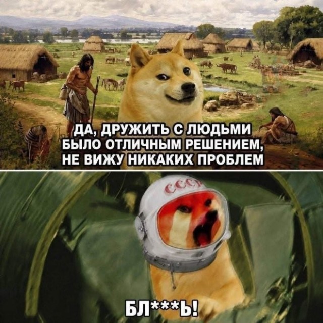 Картинки для деградации 267 (разной степени свежести)