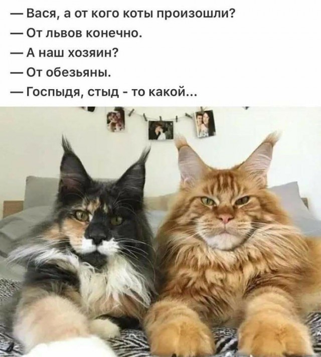 Ему снилось, что он в ванной