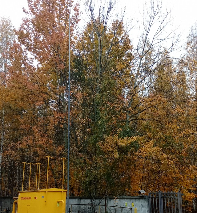 Аномальное тепло