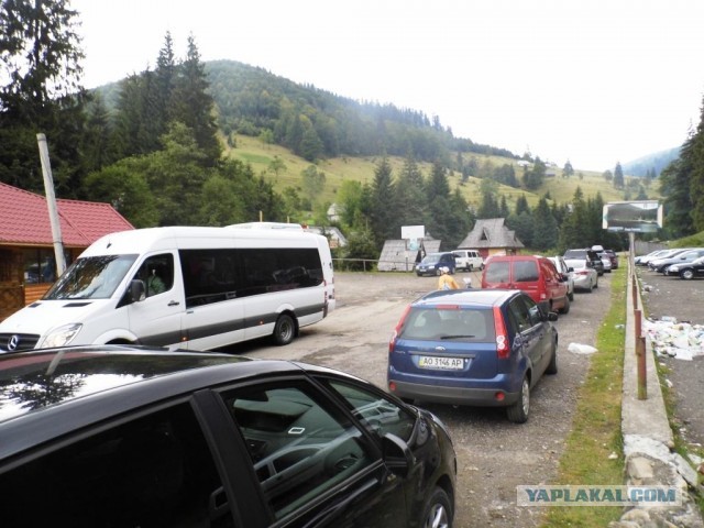 В Карпатах