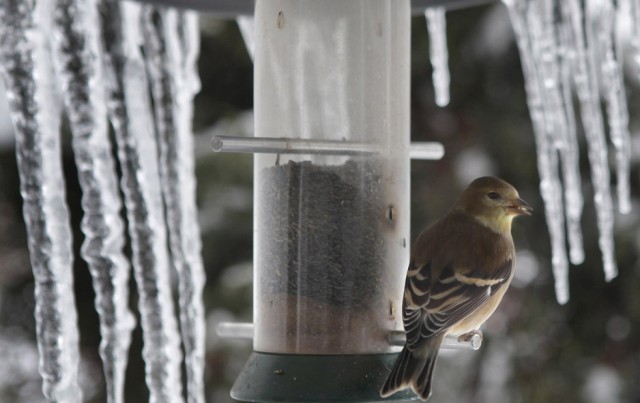 Погода в мире (19 фот)